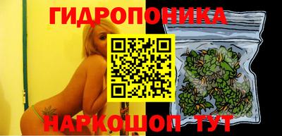 тгк Ярославль